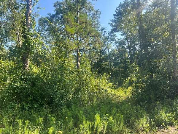 0.41 Acres of Land for Sale in Old Town, Florida