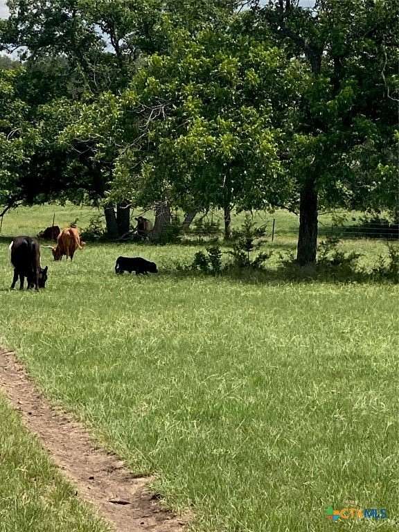 20 Acres of Improved Land for Sale in Burnet, Texas