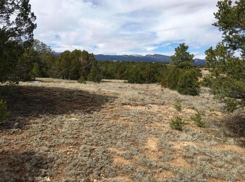 1 Acre of Residential Land for Sale in Tijeras, New Mexico
