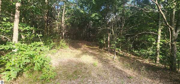 8.59 Acres of Land for Sale in Manton, Michigan