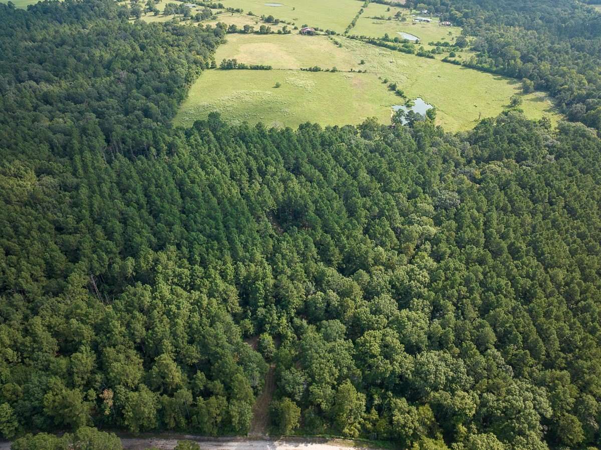 11 Acres of Recreational Land for Sale in Groveton, Texas