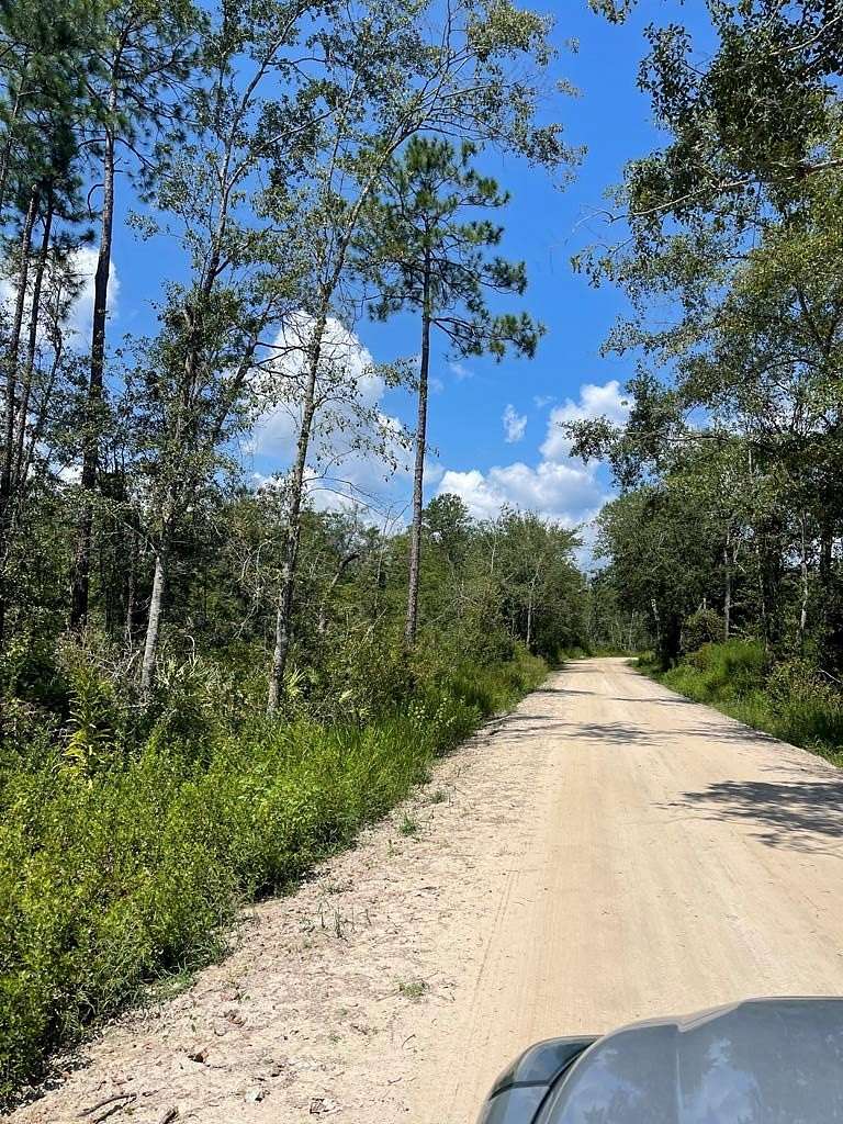 75 Acres of Recreational Land for Sale in Nashville, Georgia