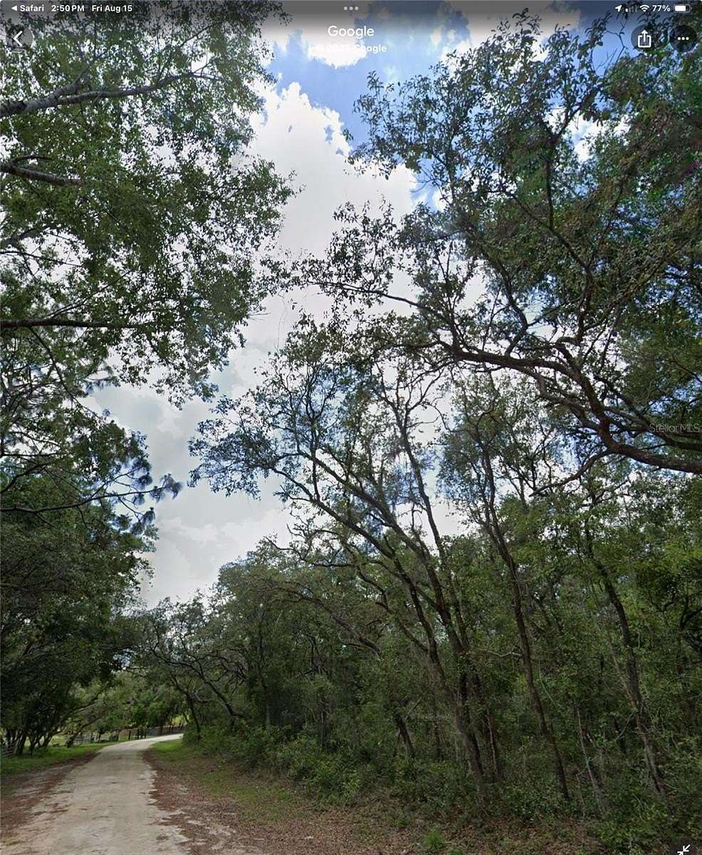 1 Acre of Residential Land for Sale in Webster, Florida