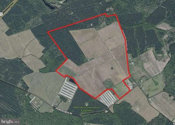 285 Acres of Land with Home for Sale in Pocomoke City, Maryland