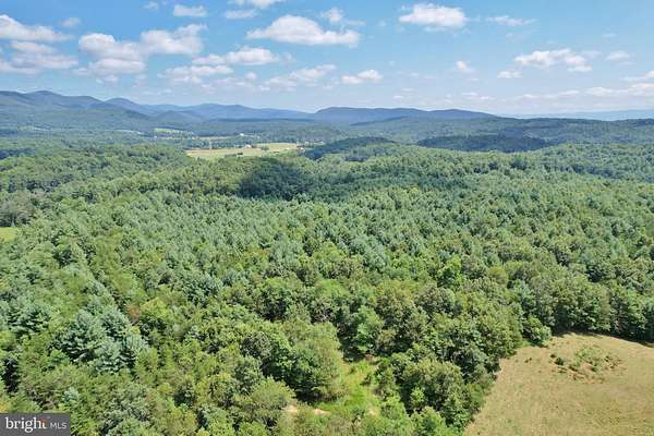 21 Acres of Recreational Land for Sale in Edinburg, Virginia
