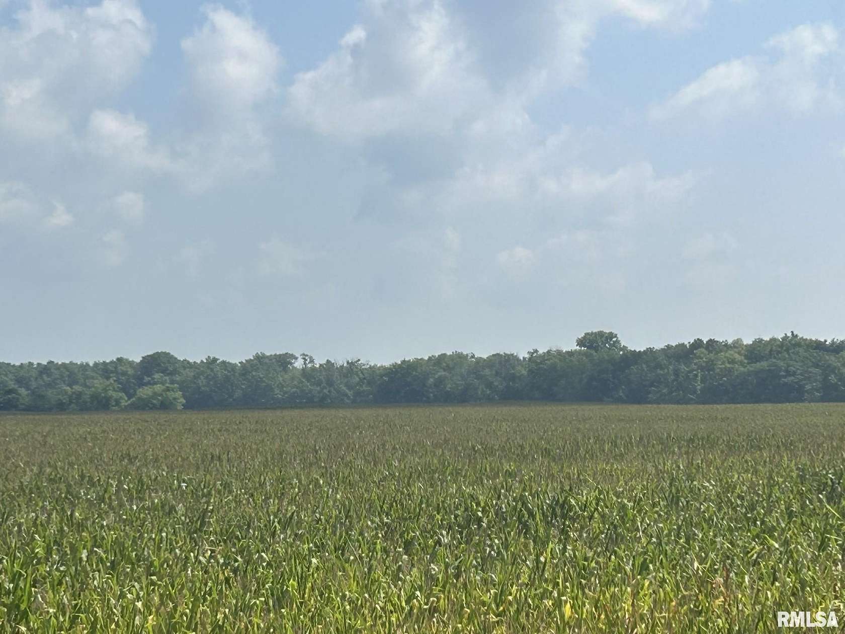 Land for Sale in Kilbourne, Illinois