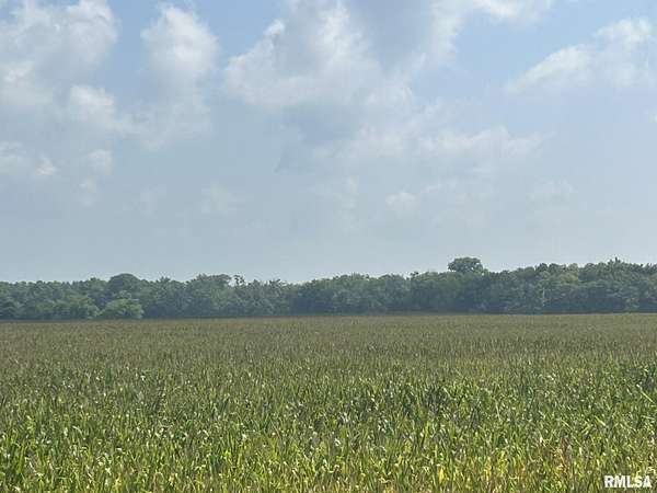 Land for Sale in Kilbourne, Illinois