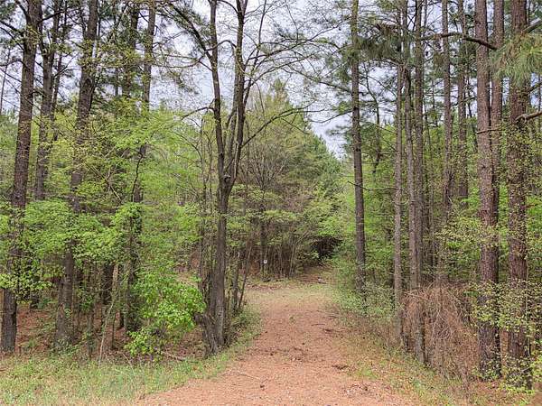 463 Acres of Recreational Land for Sale in Redwater, Texas