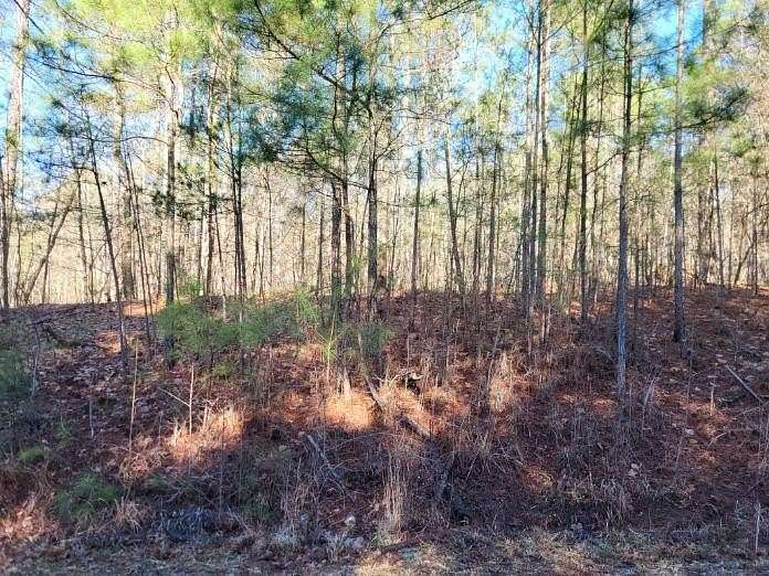1.36 Acres of Residential Land for Sale in Salem, South Carolina
