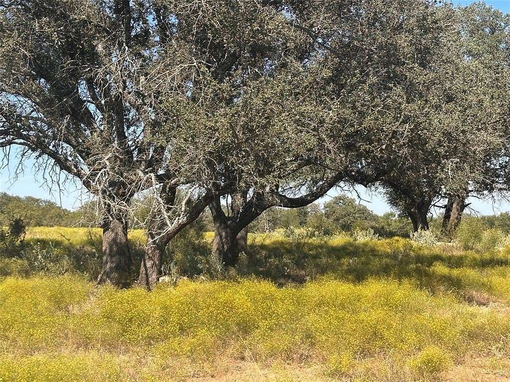 10 Acres of Land for Sale in Energy, Texas
