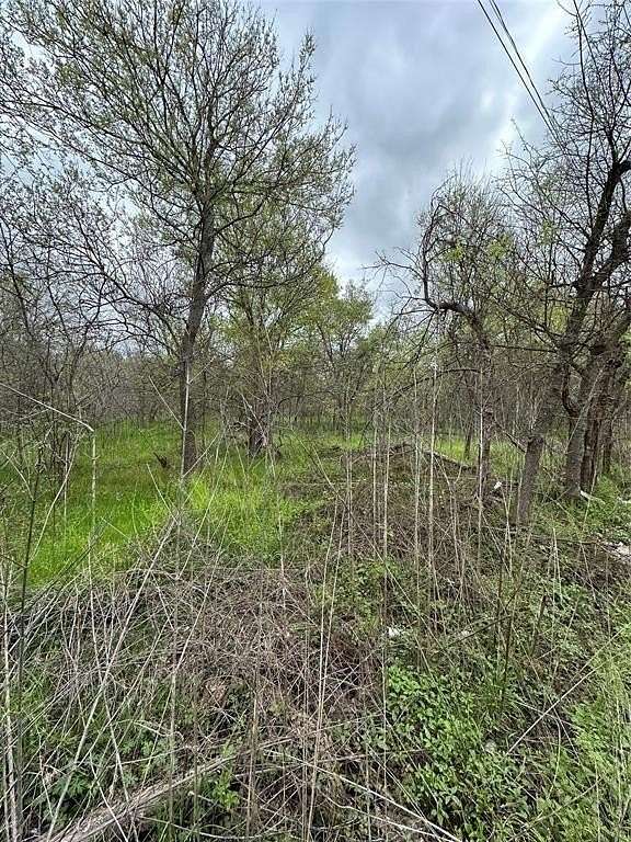 0.19 Acres of Residential Land for Sale in Marlin, Texas
