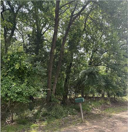 0.32 Acres of Residential Land for Sale in Mabank, Texas