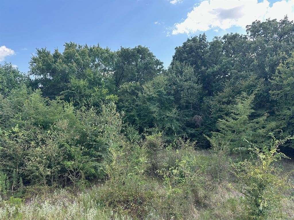 0.73 Acres of Residential Land for Sale in Alba, Texas