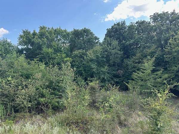 0.73 Acres of Residential Land for Sale in Alba, Texas