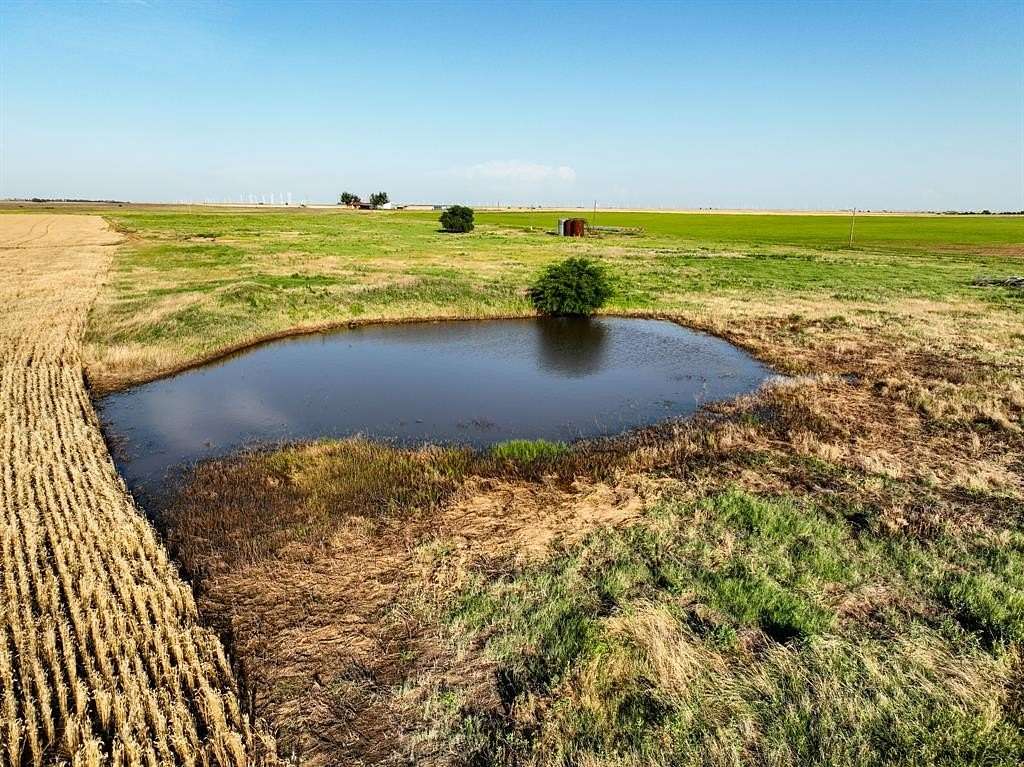 79.5 Acres of Land for Sale in Knox City, Texas