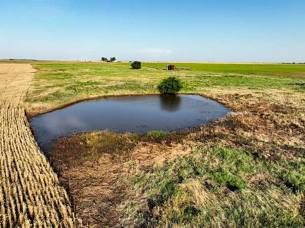 79.5 Acres of Land for Sale in Knox City, Texas