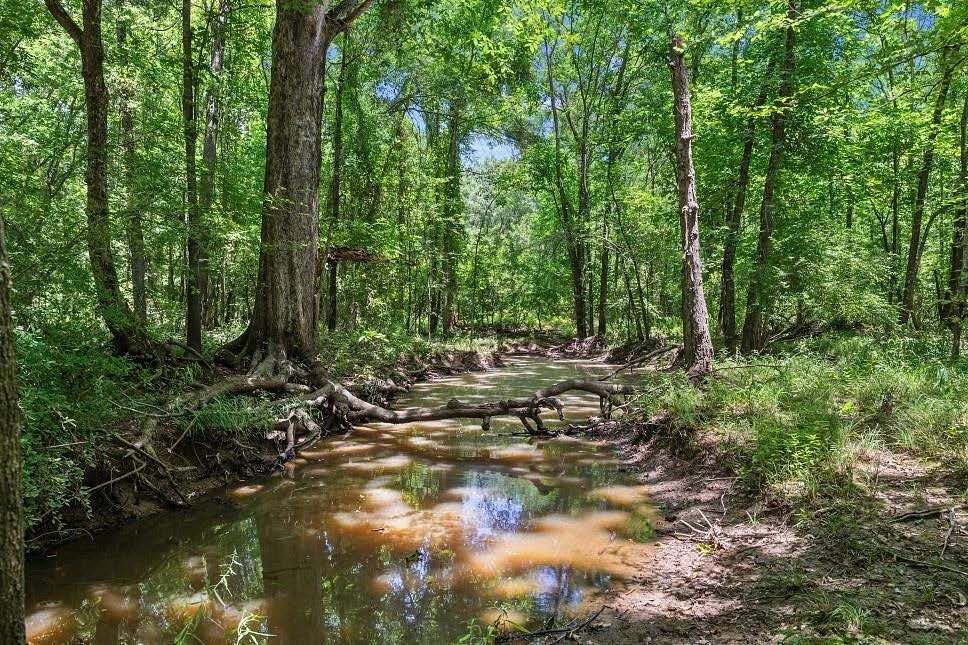 525 Acres of Land for Sale in Saltillo, Texas