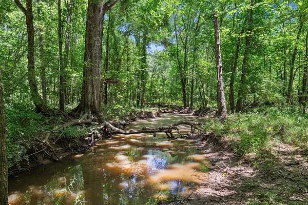 525 Acres of Land for Sale in Saltillo, Texas