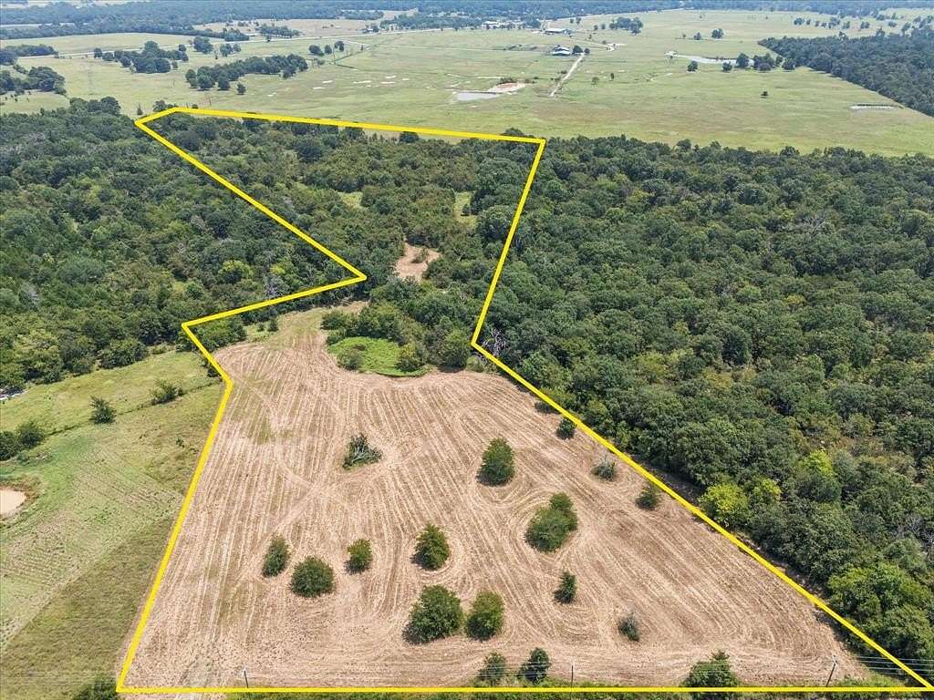 21.6 Acres of Recreational Land for Sale in Ben Wheeler, Texas