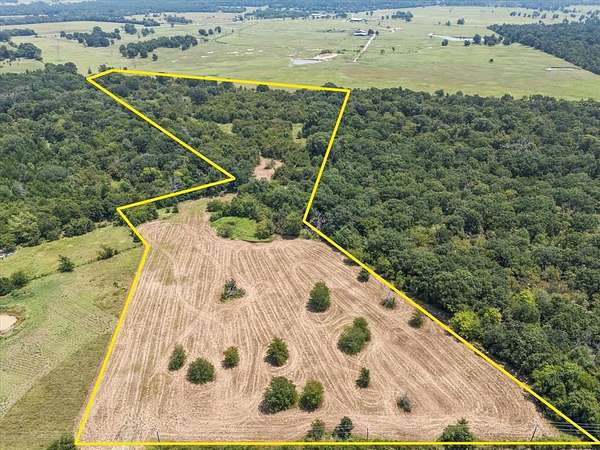 21.6 Acres of Recreational Land for Sale in Ben Wheeler, Texas