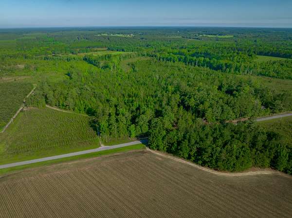 70 Acres of Recreational Land for Sale in Williston, South Carolina
