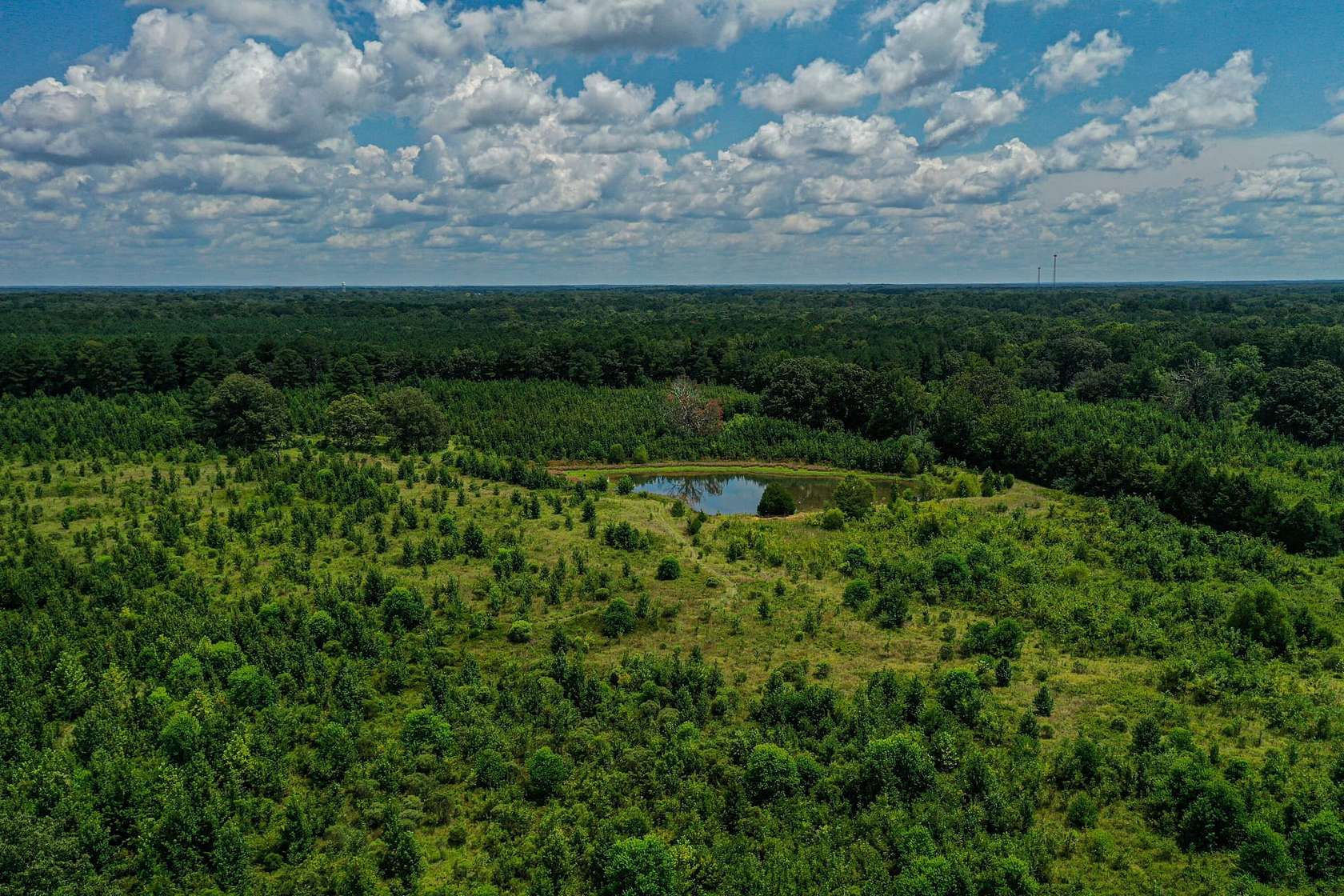 50.5 Acres of Recreational Land & Farm for Sale in Cedar Bluff, Mississippi
