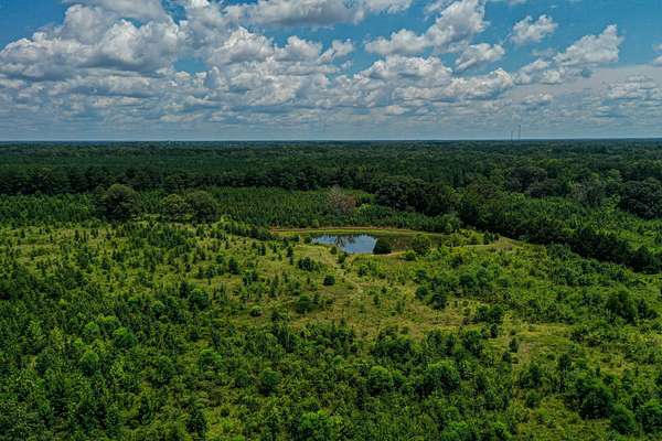 50.5 Acres of Recreational Land & Farm for Sale in Cedar Bluff, Mississippi