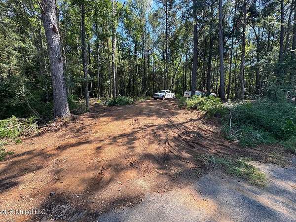 32 Acres of Land for Sale in McComb, Mississippi