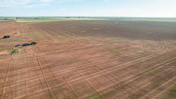315 Acres of Recreational Land & Farm for Sale in Dimmitt, Texas