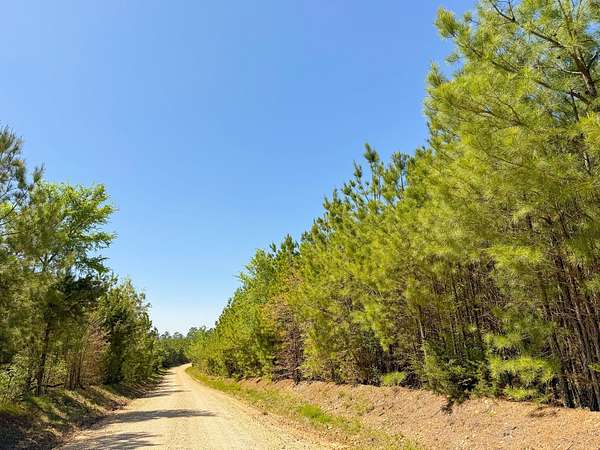 333 Acres of Recreational Land for Auction in Okolona, Arkansas