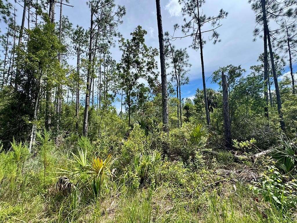10.2 Acres of Recreational Land for Sale in Steinhatchee, Florida