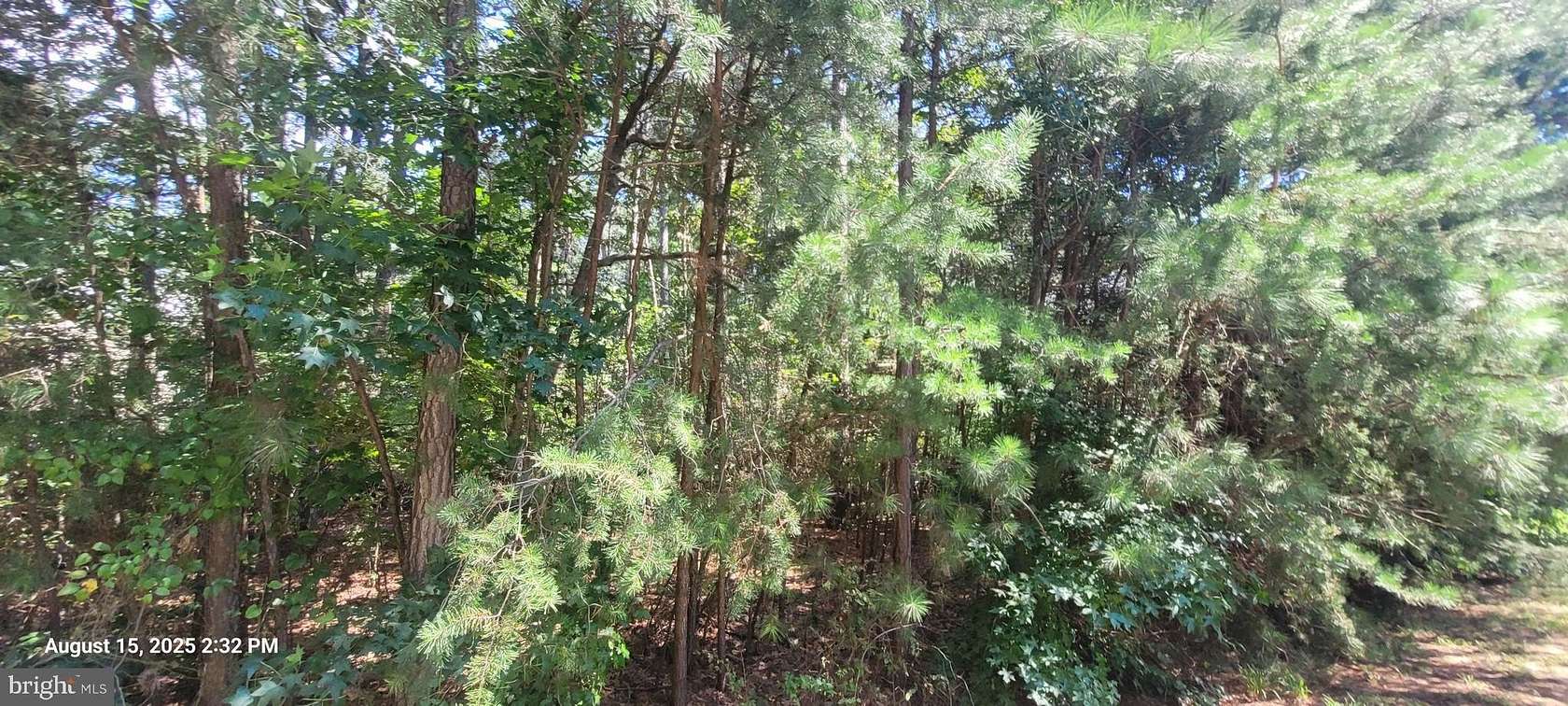 0.3 Acres of Residential Land for Sale in Swan Point, Maryland