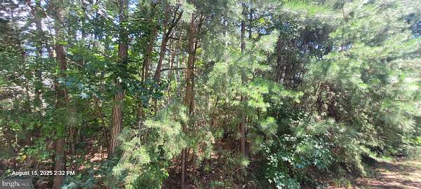 0.3 Acres of Residential Land for Sale in Swan Point, Maryland