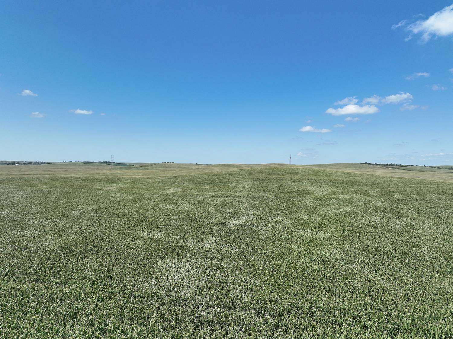 320 Acres of Agricultural Land for Sale in Pleasanton, Nebraska