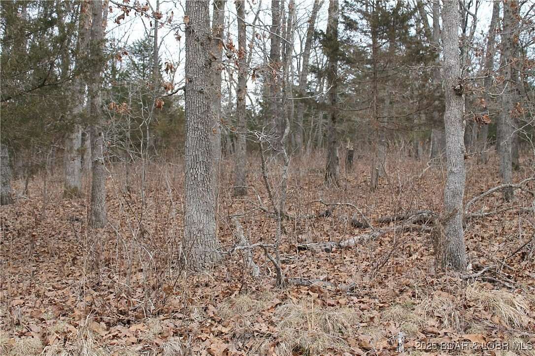 2.65 Acres of Residential Land for Sale in Edwards, Missouri