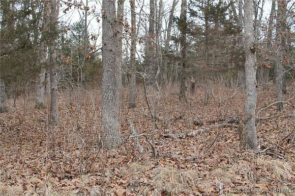 2.65 Acres of Residential Land for Sale in Edwards, Missouri