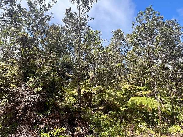 0.21 Acres of Residential Land for Sale in Volcano, Hawaii
