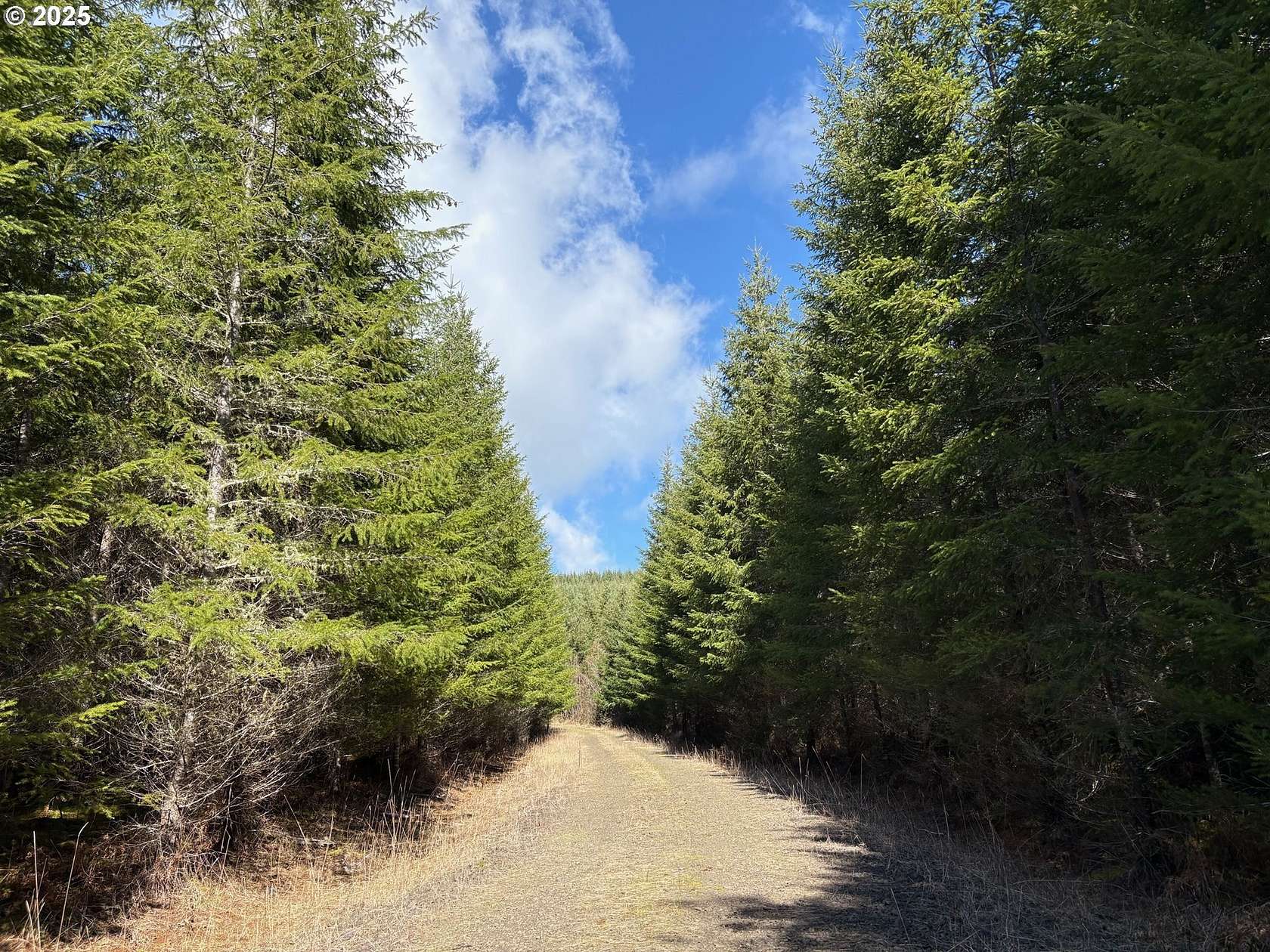 55.7 Acres of Land for Sale in Springfield, Oregon