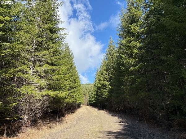 55.7 Acres of Land for Sale in Springfield, Oregon