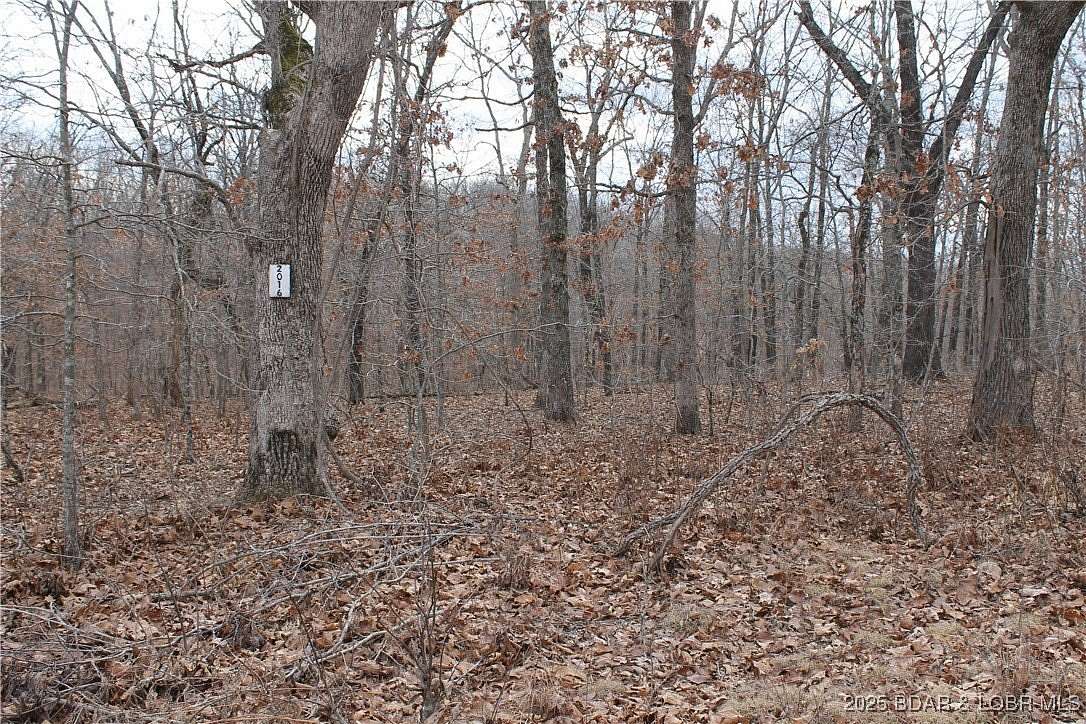 3 Acres of Residential Land for Sale in Edwards, Missouri