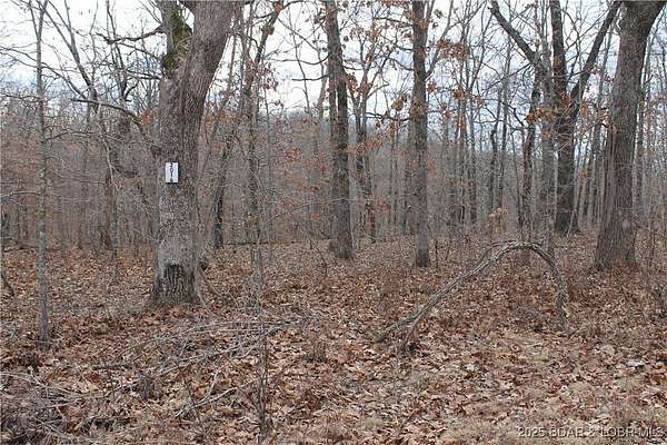 3 Acres of Residential Land for Sale in Edwards, Missouri