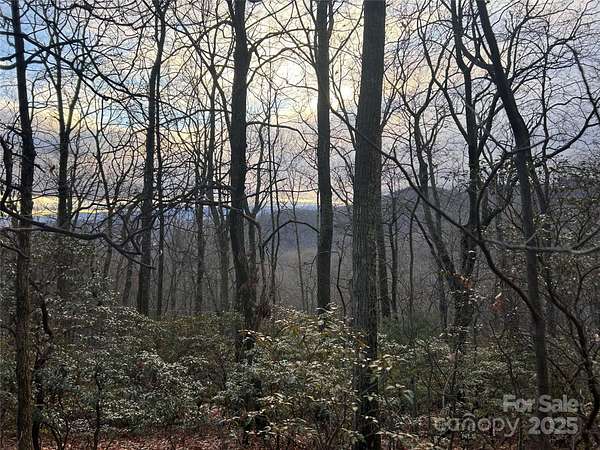1 Acre of Land for Sale in Hendersonville, North Carolina