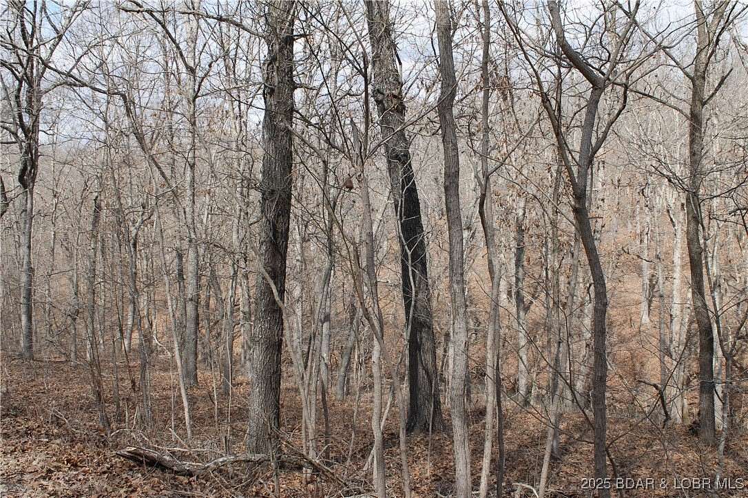 2.72 Acres of Residential Land for Sale in Edwards, Missouri