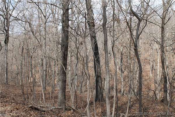 2.72 Acres of Residential Land for Sale in Edwards, Missouri