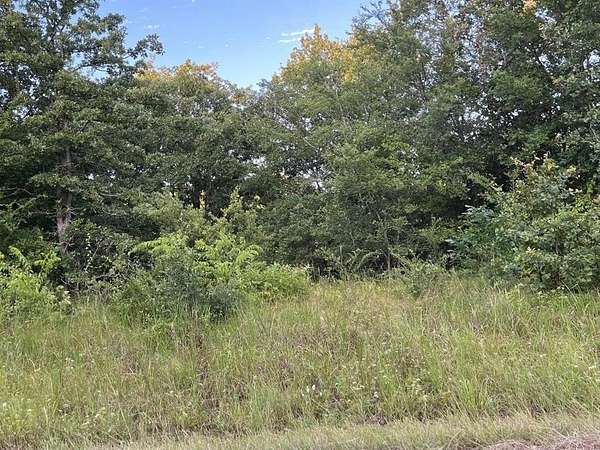 0.12 Acres of Residential Land for Sale in Mabank, Texas