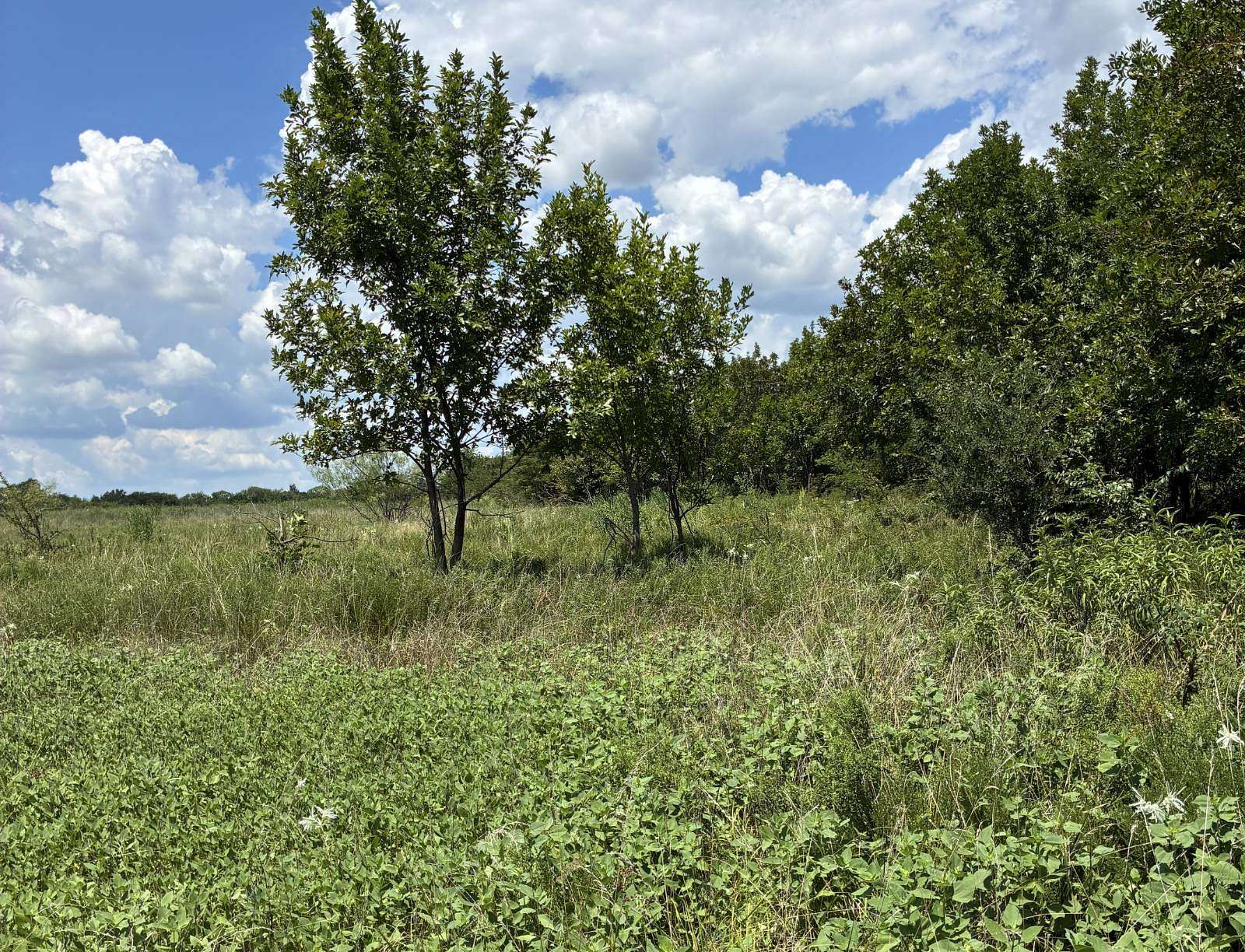 1 Acre of Land for Sale in Caddo, Oklahoma