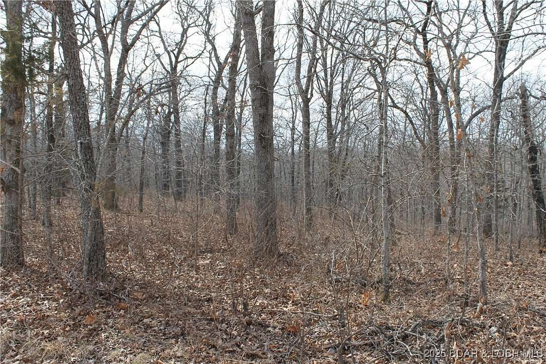 3.25 Acres of Land for Sale in Edwards, Missouri