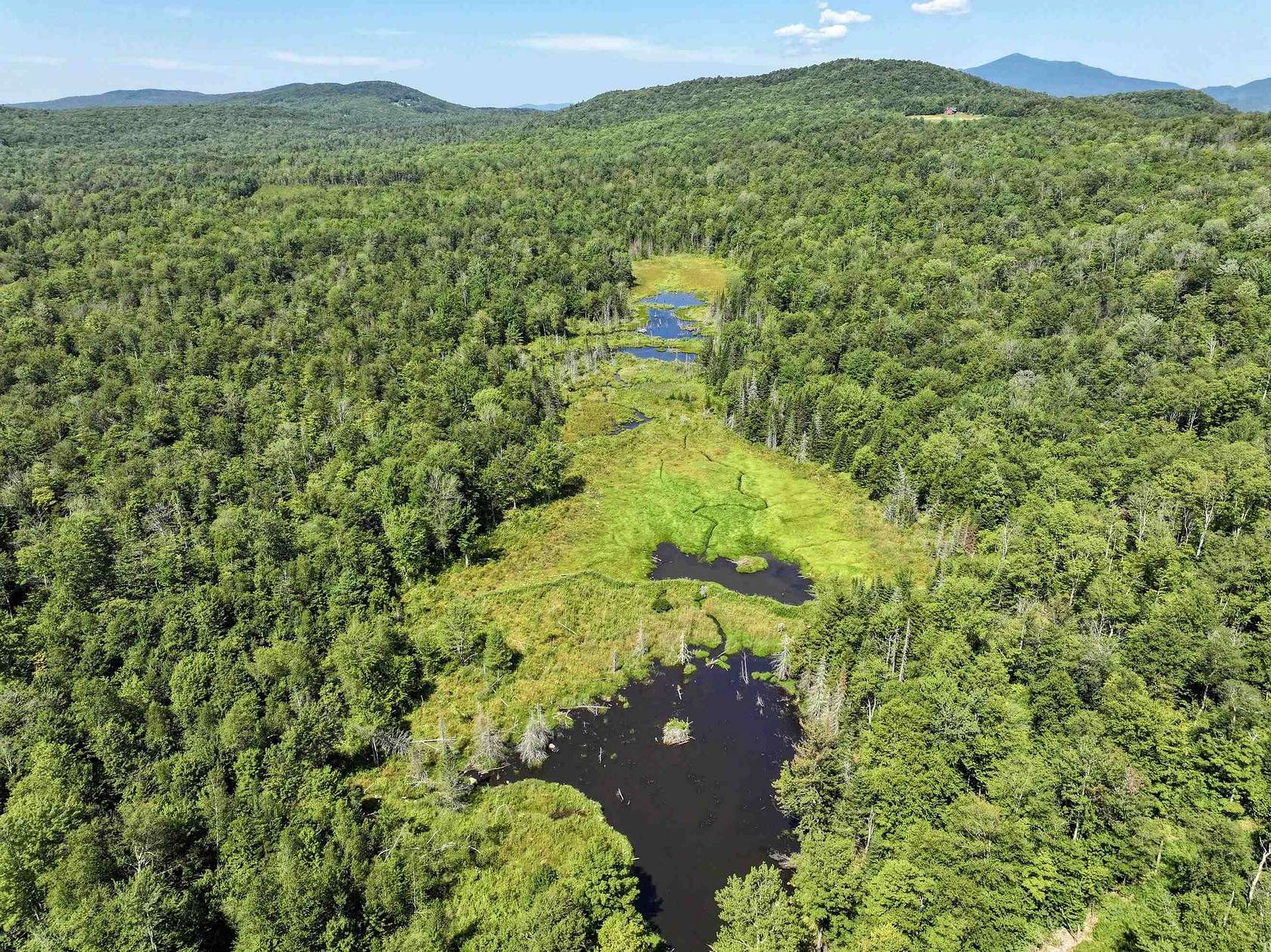 45.3 Acres of Recreational Land for Sale in Ripton, Vermont
