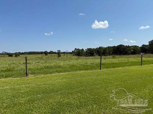 19.6 Acres of Land for Sale in McDavid, Florida