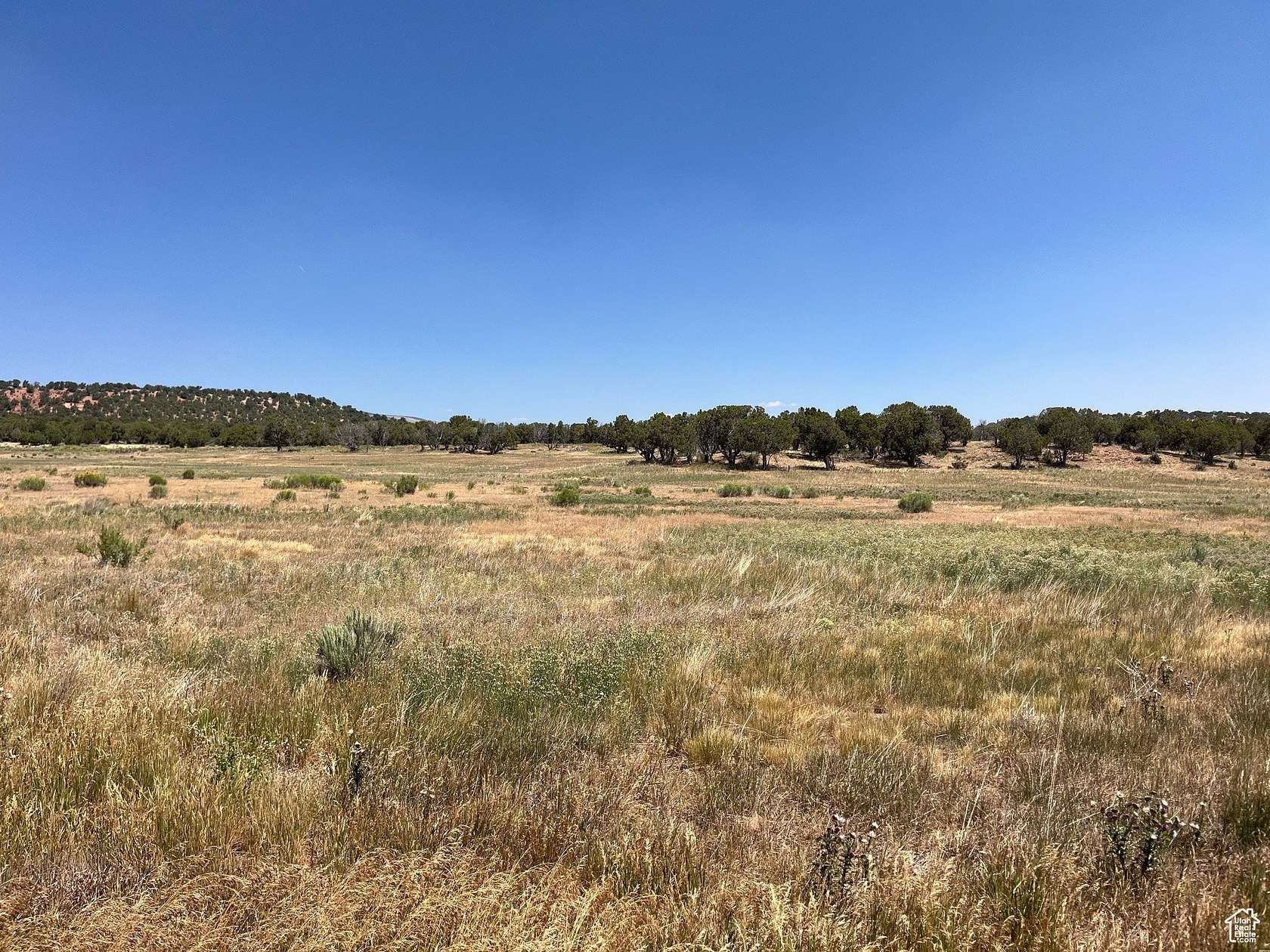 20 Acres of Agricultural Land for Sale in Fruitland, Utah